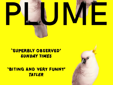 Plume Hot on Sale