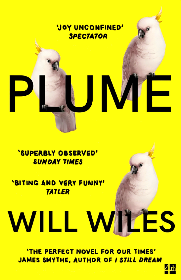 Plume Hot on Sale