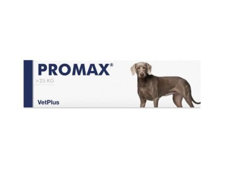 Promax Large Breed Pasta in Siringa 30 ml Mangime Complementare Online now