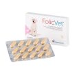 FolicVet 15 Compresse Cheap