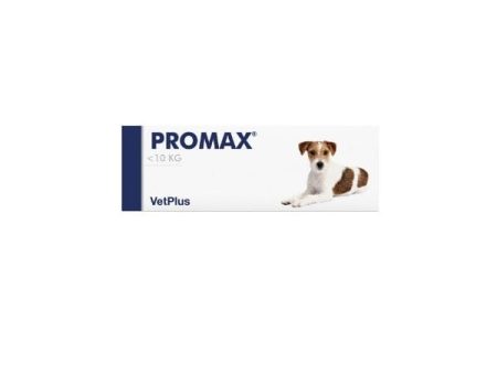 Promax Small Breed Pasta in Siringa 9 ml Mangime Complementare Fashion