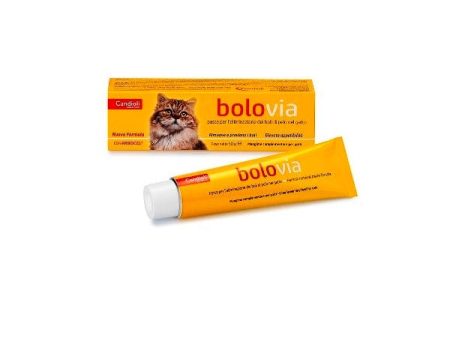 Bolo Via Pasta Gatti 50 g Hot on Sale