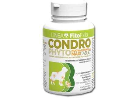 Condro Phyto Maxi Tablet 60 Compresse 2 g For Discount